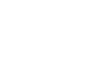 Logo_WestJet
